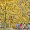 은행1리 이미지