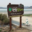 김해-한림-5-비상-2 | 발달장애 아이랑 부산 근교 갈만한곳 김해 슬로에팜 알로에농장