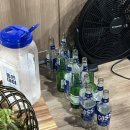 거성식육식당