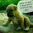 꼬꼬멍 이미지