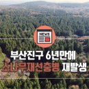 부산진구-6 이미지