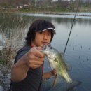 힛트랜드 이미지