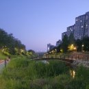 숲길 걷기 동아리 활동 | 맨발로 걷는 계절 — 양재시민의 숲 황토길 맨발걷기 후기