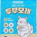 멍냥이노리터 이미지