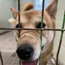 (주)우다다 이미지