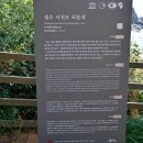 대장금마실길(2코스) | 서귀포 외돌개·천지연폭포 | 대장금 촬영지부터 원앙 무리까지 다 있는 힐링 코스