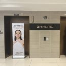 캑터스