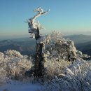입장중학교 이미지
