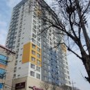 감삼동337 이미지