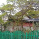 인천문학초등학교 이미지