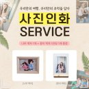 스테이종이와나무