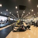 캐롤리나 휘트니스 이미지