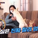 은봉농장 네이버블로그