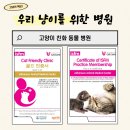 태화동물병원 네이버블로그