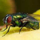 인수농장 이미지