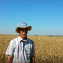 대농2농장 이미지