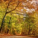 강화한의원 이미지