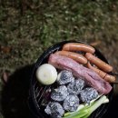 시민오토 | 일산 킨텍스캠핑장 시민캠핑존 4번 이용후기 /우중캠핑 /오토캠핑존 비교