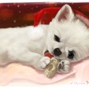 강아지그림