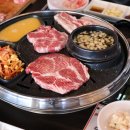 생고기대학교 이미지