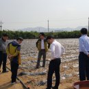 남성목장 이미지