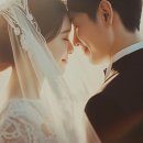 바로국제행정사무소 | 다연이 설명해드리는 베트남 국제결혼