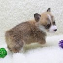 구월2동-16 이미지