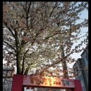 조강로 네이버블로그