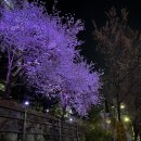 풍덕천2동 행정복지센터 이미지