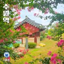 경기도 수원시 팔달구 수원천로199번길 | 수원 화성 둘레길 성곽길 뚜벅이 여행코스 창룡문부터 장안문까지