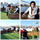 백만불세탁소 이미지