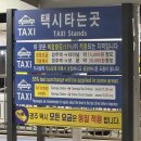 2박 3일 동안 카페 다섯 번 간 뚜벅이의 경주 여행 회고