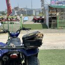 헤어꽃지 | 꽃지카트장&ATV.고카트 내돈내산 체험 솔직 후기 | 태안 안면도 액티비티 놀거리 추천 | ATV 와 고카트...
