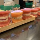 강남편안한치과의원 이미지