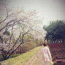 시립미술관(팔각정) | 광주광역시 광주시립미술관 관람후기 ⑫시민과 함께하는 진경매화전