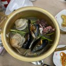 포항 죽도시장 맛집 애견동반식당 갈릴리대게회식당 솔직후기