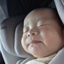 아이자리 | 오산 다이치 카시트 친환경세탁업체아이자리 이용 솔직후기(비용, 이용과정)