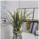 척척 행정사 사무소 이미지