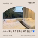 제주도풀빌라 그라운드 플레이스 제주도풀빌라펜션 가족여행으로 완벽했던 후기🤍