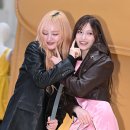 리즈 이미지