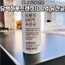 트랜짓 - 양천구 목동동로 257 | 담백하루 트랜짓 100억 유산균 다니스코유산균 솔직 후기