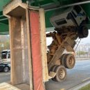 산호대로-15 이미지