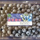 야곱의농장 이미지