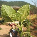 상순농장 이미지