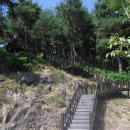 청도레일바이크 이미지