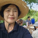삼별초힐링농원