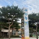 내저바다향
