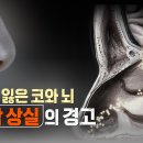 973 티스토리