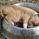 잠꾸러기 - 제천시 탑안로10길 4 | 잠꾸러기