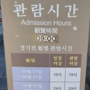 전북 전주/경기전(주차tip,전북투어패스,전주한옥마을 비추)